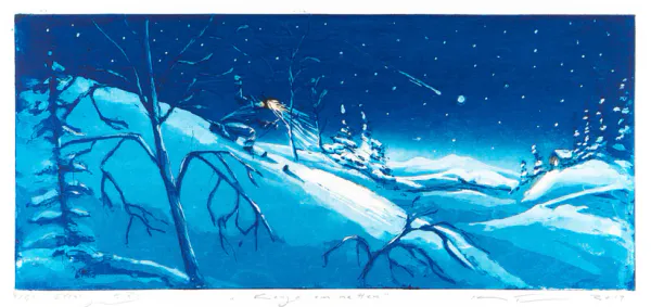 Hovedbilde Konge om natten - Kristian Finborud